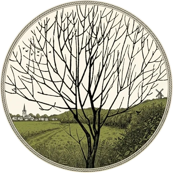 A bare tree over Worpswede